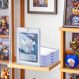 Magnetic card holder displayed on a shelf collection