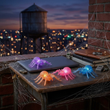 Squishy - Squeezy Sugar Spider 4.75 Inch (Random Color)