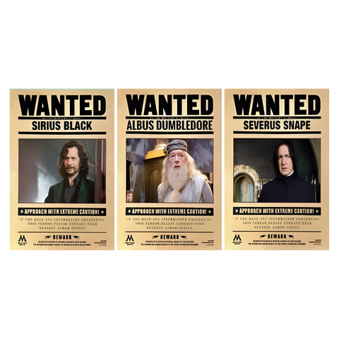 3D Lenticular Poster 12"x16" - Harry Potter - Wanted Posters Sirius Black, Albus Dumbledore & Severus Snape