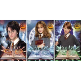 3D Lenticular Poster 12x16 - Harry Potter - Harry Potter, Hermione Granger, Ron Weasley (2)