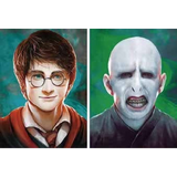 3D Lenticular Poster 12x16 - Harry Potter - Harry Potter, Lord Voldemort