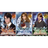 3D Lenticular Poster 12x16 - Harry Potter - Harry Potter, Hermione Granger, Ron Weasley (2)