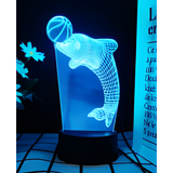 3D LED Night Light - Dolphin playing with ball
