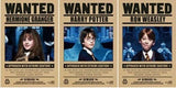 3D Lenticular Poster 12x16 - Harry Potter - Hermione Granger, Harry Potter, Ron Weasley