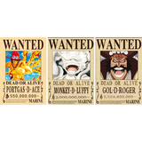 3D Lenticular Poster 12x16 - One Piece - Portgas D. Ace, Monkey D. Luffy, Gol D. Roger
