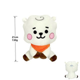 Plush - BT21 - RJ (21cm)