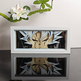 Dragon Ball Goku Mastered Ultra Instinct portrait anime light box — unlit, design detail