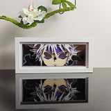 Hunter x Hunter Killua Zoldyck intense stare with lightning anime light box — unlit, design detail