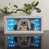 Naruto Jiraiya Sage Mode Face Close-up anime light box — lit, front view