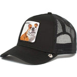 Snapback Cap - Animals - Butch