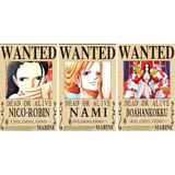 3D Lenticular Poster 12x16 - One Piece - Three Panel Color Wanted Posters