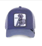 Snapback Cap - Animals - Dog - Great