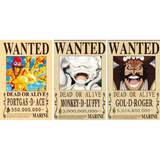 3D Lenticular Poster 12x16 - One Piece - Portgas D. Ace, Monkey D. Luffy, Gol D. Roger