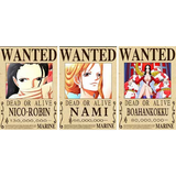 3D Lenticular Poster 12x16 - One Piece - Three Panel Color Wanted Posters