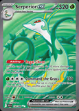 Card Keychain - Pokémon - Serperior ex Special Illustration Rare #119