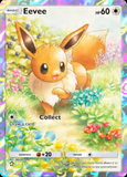 Card Keychain - Pokémon - Eevee basic Full Art Black Star Promo SM194