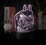 3D Illuminated Art - Princess Mononoke (Studio Ghibli) - San and Moro 3D Illusion LED Night Light 16 Colors