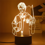 3D Illuminated Art - Harry Potter - Harry Potter 3D Illusion LED Night Light 16 Colors #1453