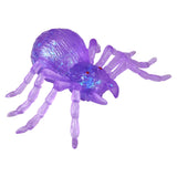 Squishy - Squeezy Sugar Spider 4.75 Inch (Random Color)