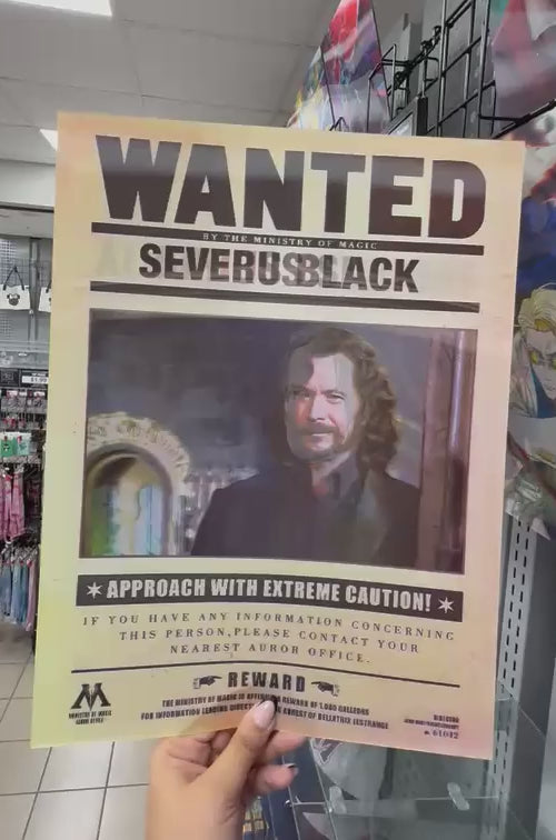 Harry Potter - Sirius Black, Albus Dumbledore, Severus Snape