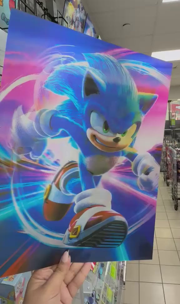 Sonic the Hedgehog - Sonic the Hedgehog, Knuckles the Echidna, Shadow the Hedgehog